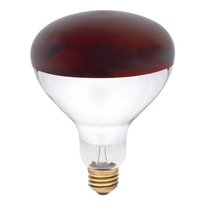 Westinghouse, Ampoule Incandescente Rouge 250 W