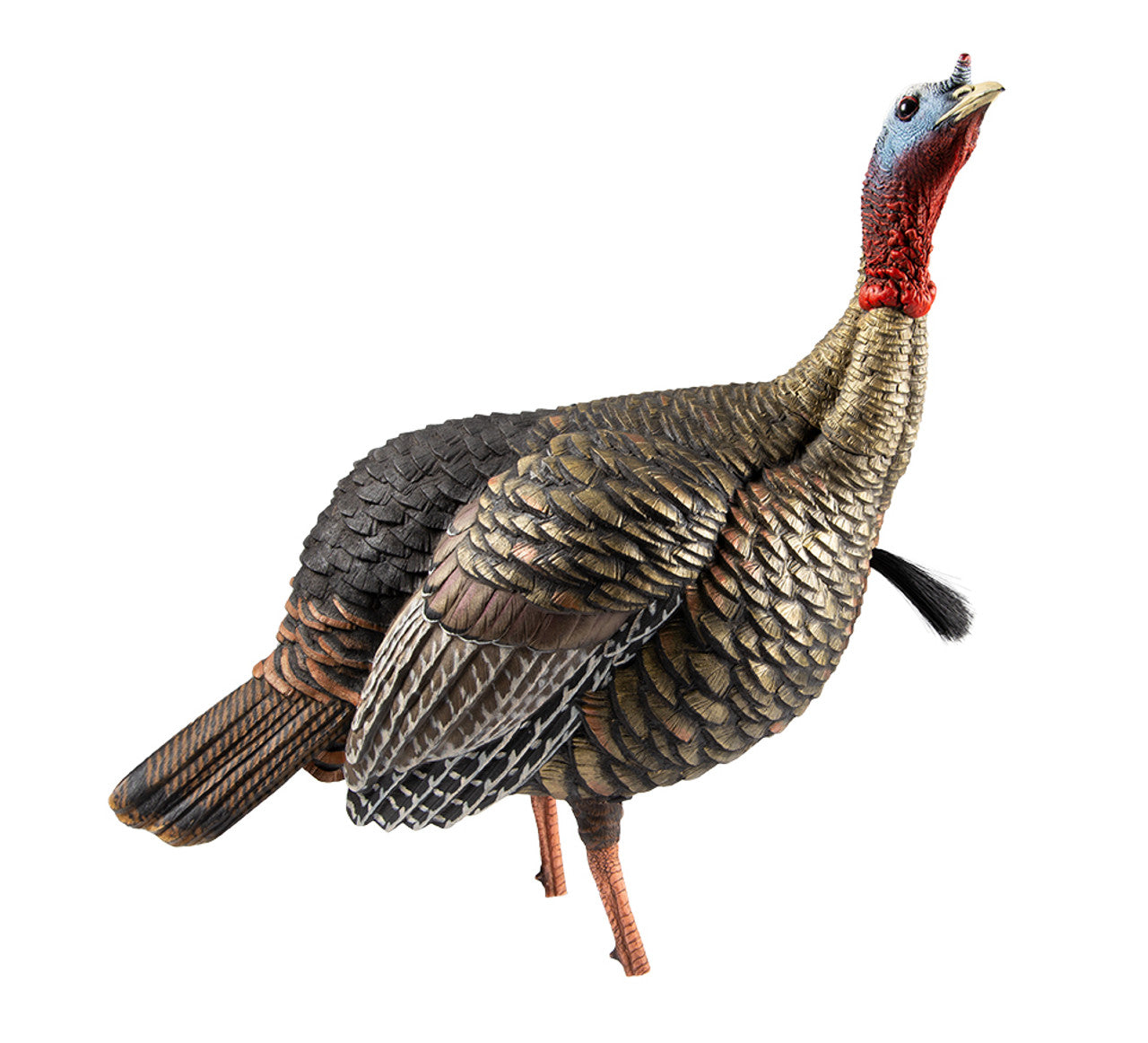 Appels Zink, Avian-x Hdr Jake Decoy