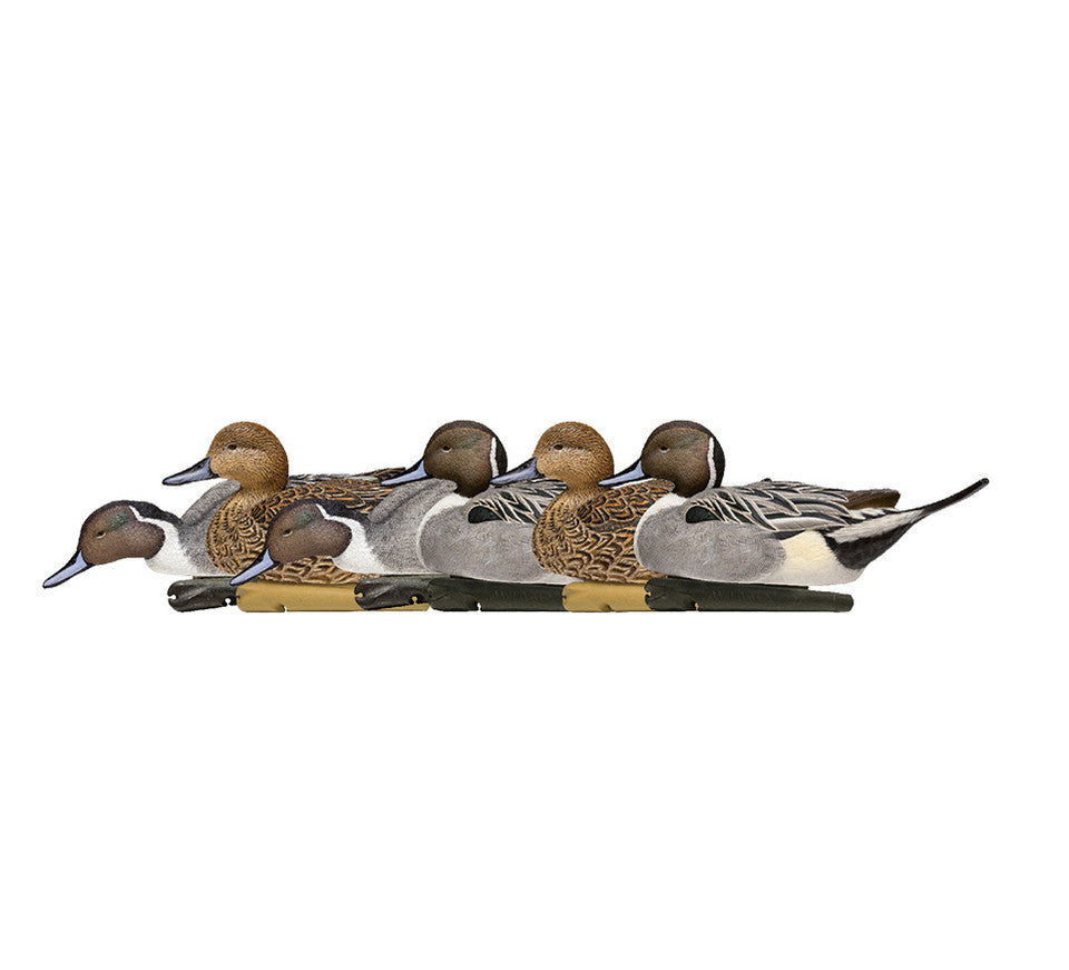 Appels Zink, Avian-x Topflight Pintails Decoys 6pk