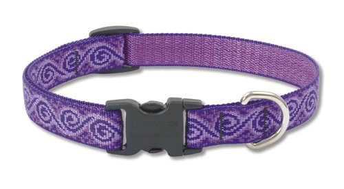 LupinePet, Collier réglable pour chien Lupine 3/4 inch Jelly Roll