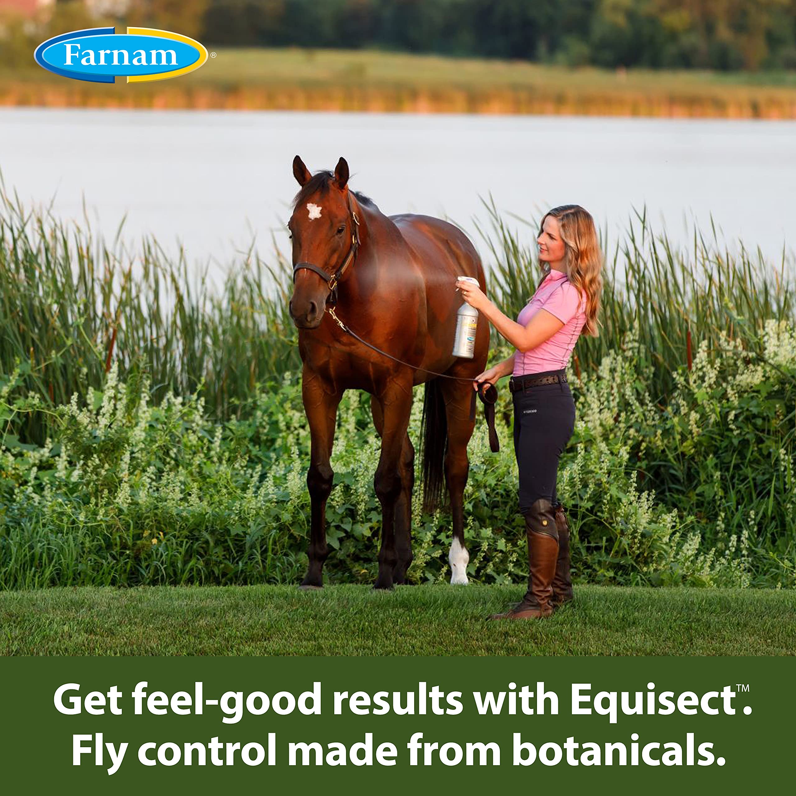 Farnam, Farnam 3002536 Equisect Botanical Fly Repellent for Horses, Dogs and Cats, 32 Fl Oz (Pack of 1), None