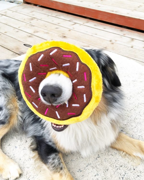 Zippy Paws, JOUET DONUTZ POUR CHIEN EN CHOCOLAT