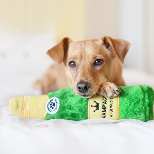 Zippy Paws, JOUET POUR CHIEN HAPPY HOUR CRUSHERZ CHAMPAGNE